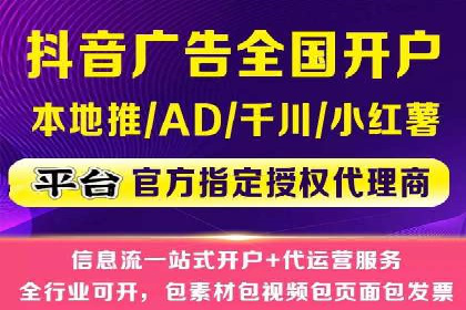 竞价托管服务对比：不同平台的优劣分析