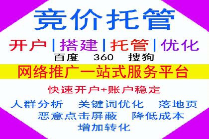 谷歌竞价案例：提升品牌知名度的广告投放